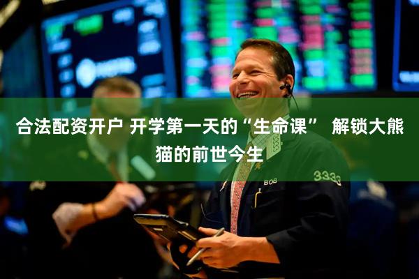 合法配资开户 开学第一天的“生命课”  解锁大熊猫的前世今生