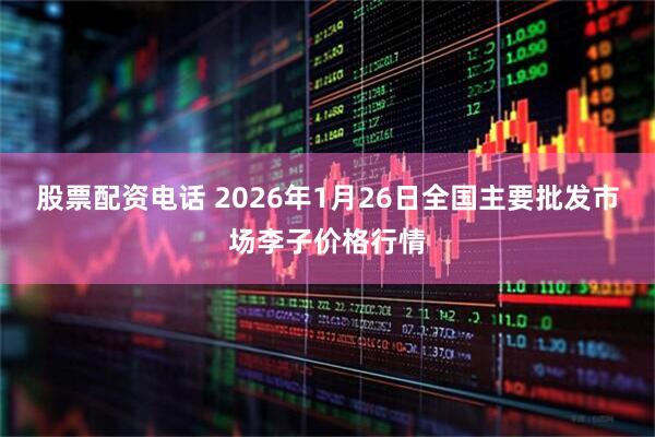 股票配资电话 2026年1月26日全国主要批发市场李子价格行情
